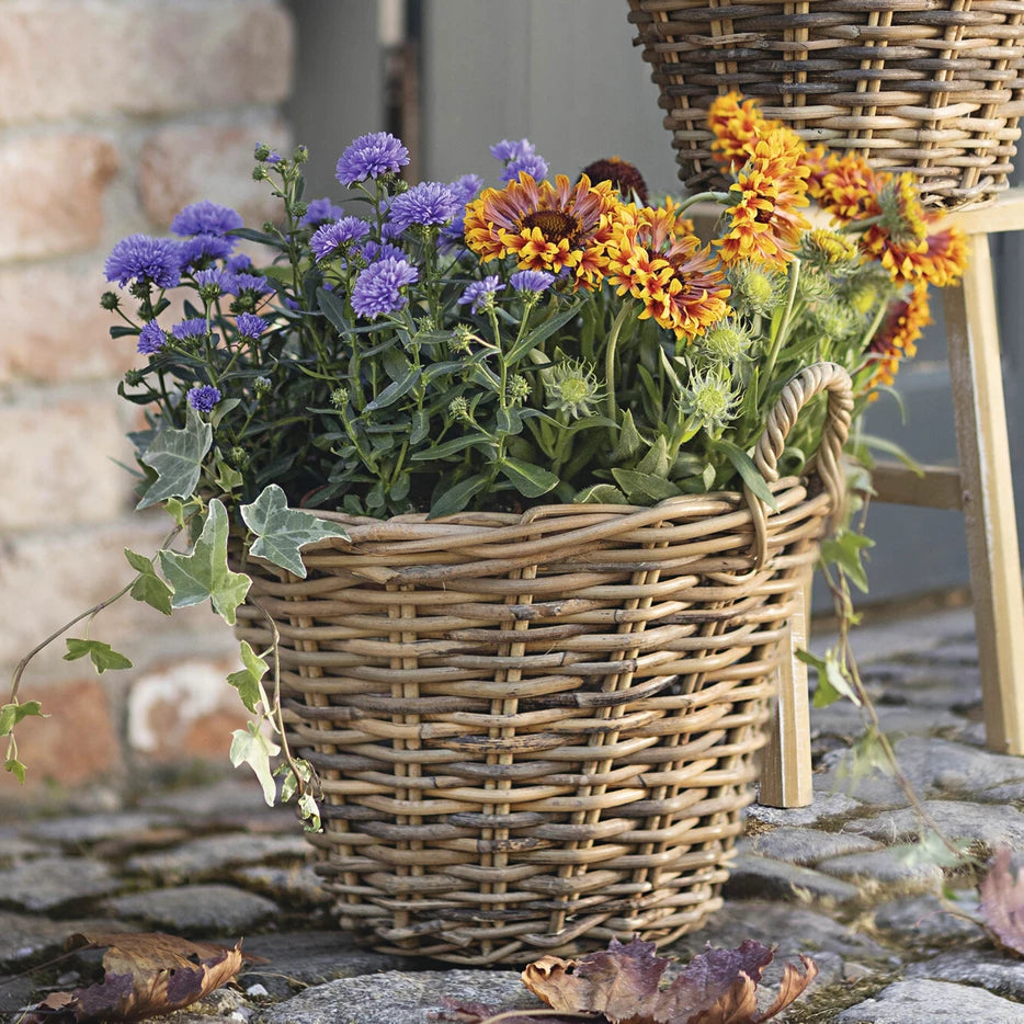 Pflanzkorb mit Henkel, Maße	Ø 35 x 25 cm