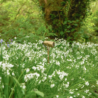 Corston Cambridge Bodenstrahler 24V - Antikes Messing