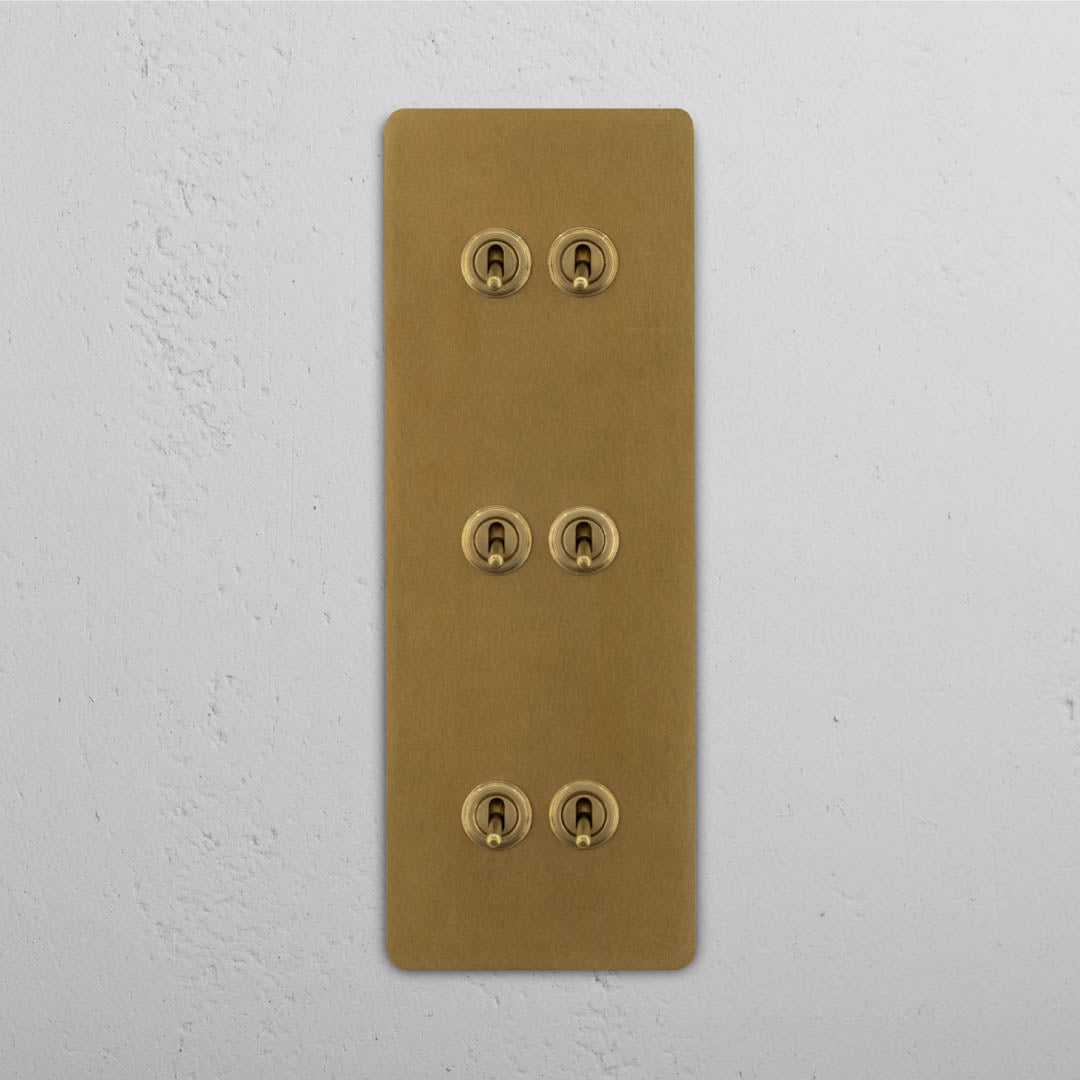 Corston-Kipphebelschalter 6x in vertikalem Dreifachrahmen – Antikes Messing