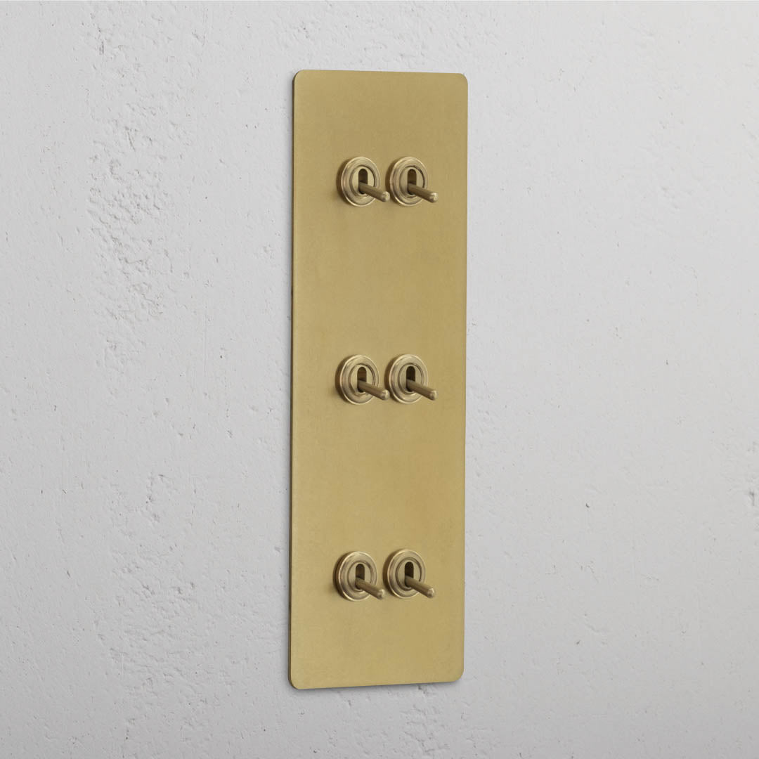 Corston-Kipphebelschalter 6x in vertikalem Dreifachrahmen – Antikes Messing