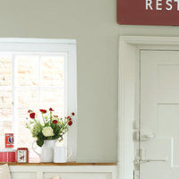 Pearl Colour-Dark 169