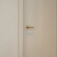 Corston Harper gefederter Türgriff – Antikes Messing