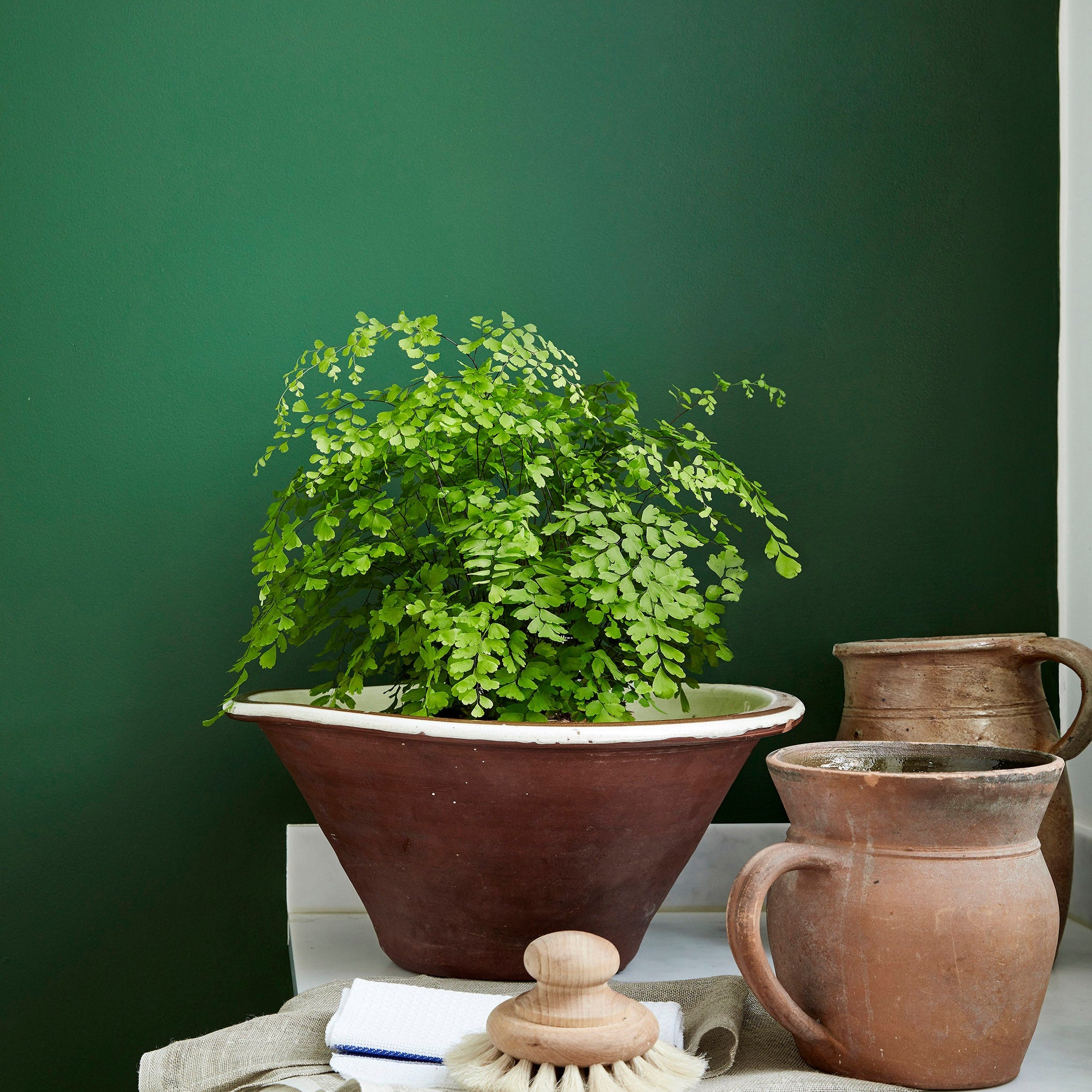 Dark Brunswick Green 88