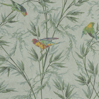 Tapete   -The London Wallpaper Great Ormond St