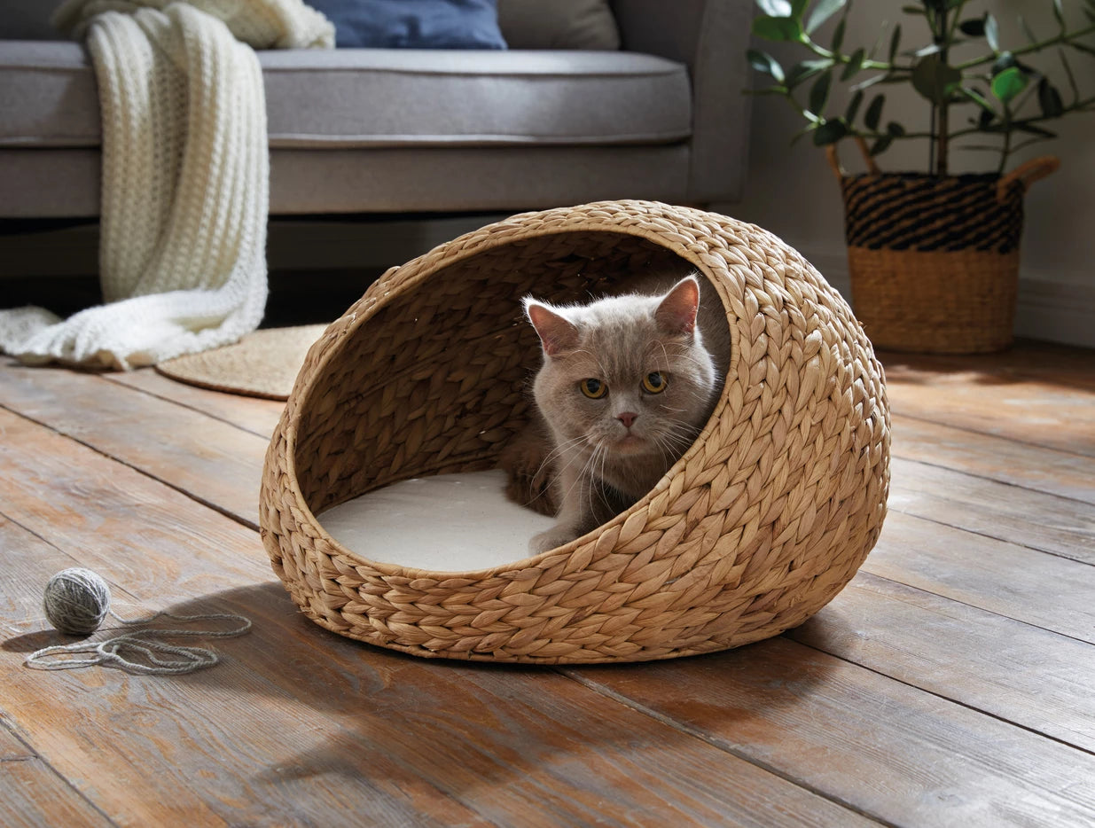 Katzen-Kuschelhöhle mit Kissen ca. Ø 50 x 30 cm, Kissen Ø 40 x 4 cm