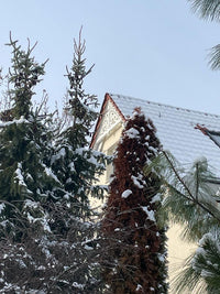 Zierfüllung für Giebel - Nr. 7-040