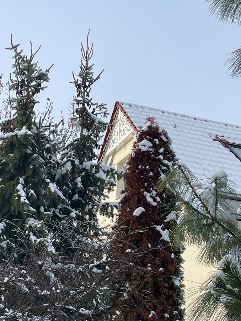 Zierfüllung für Giebel - Nr. 7-040