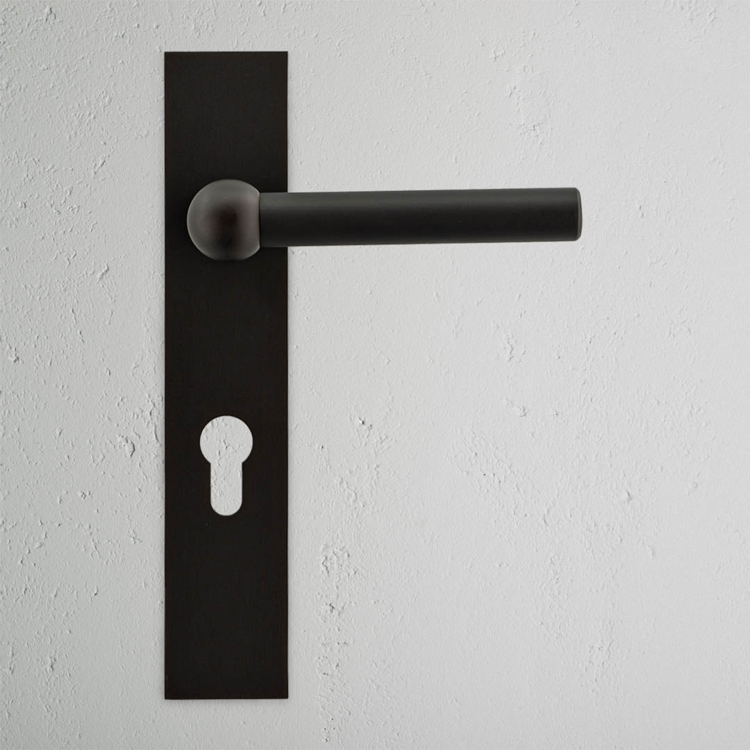 Corston Clayton ungefederter Türgriff – Bronze 