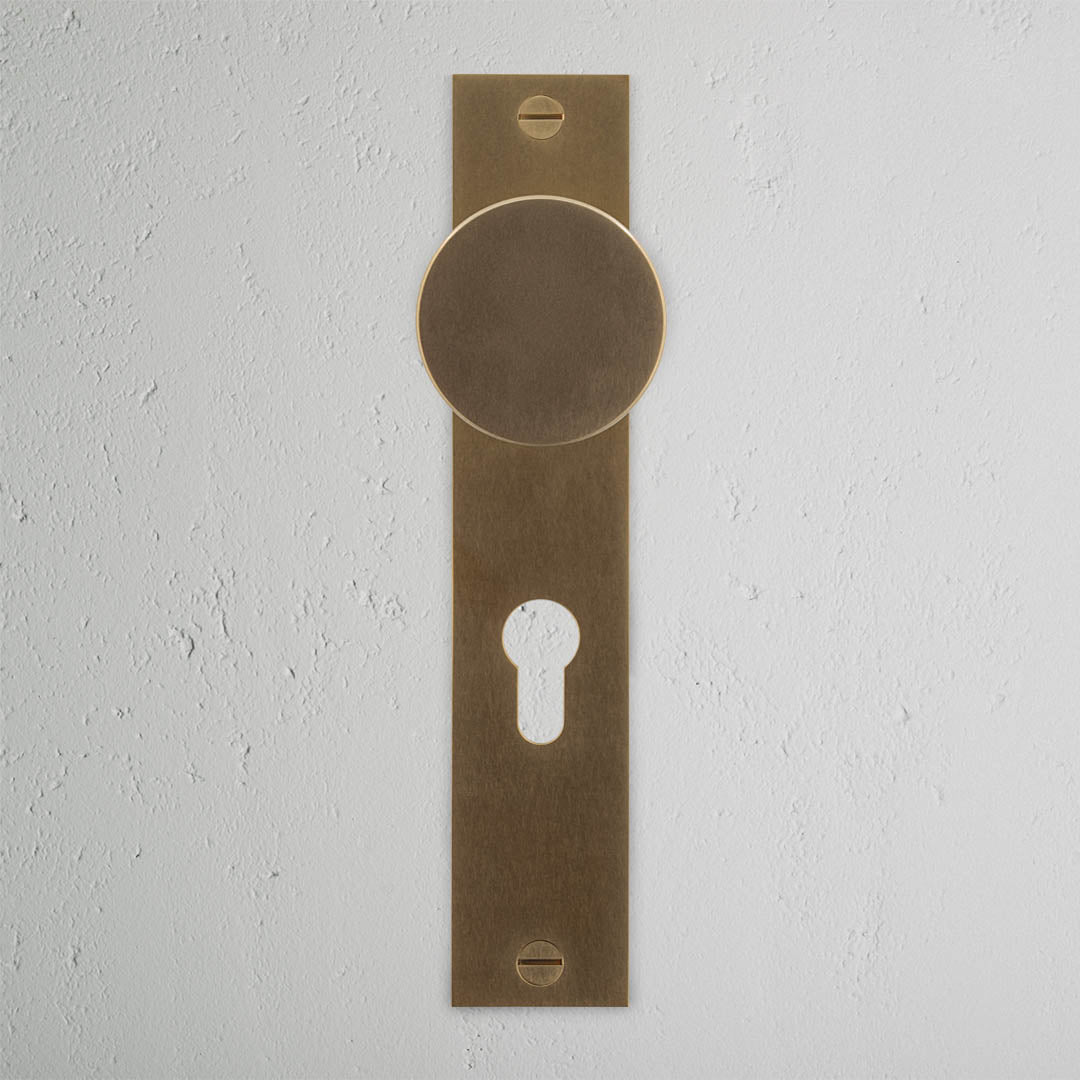 Corston Clayton ungefederter Türgriff – Bronze 